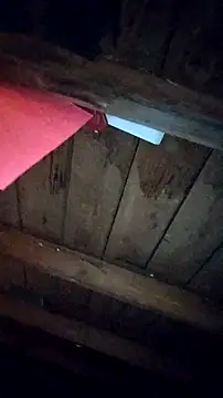 faithfulchic online show from November 6, 2:34 pm