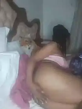 Hotcougar online show from November 17, 8:20 pm