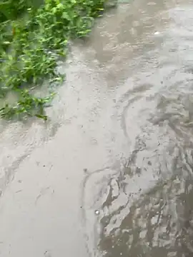 Candy 111 online show from November 8, 9:03 am