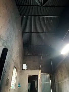 Bear bear0 online show from December 16, 3:12 am