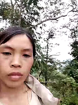 dinnavi online show from November 7, 7:14 am