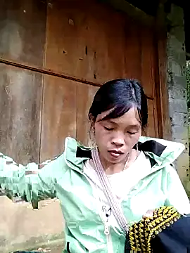 dinnavi online show from October 26, 8:32 am