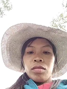 dinnavi online show from October 27, 9:05 am