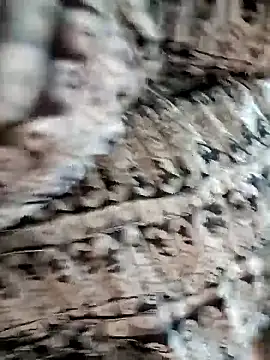 pampa4456 online show from April 28, 7:07 pm