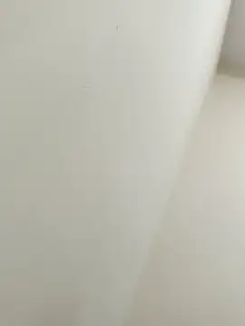 bigtelugubhama online show from November 21, 3:03 pm