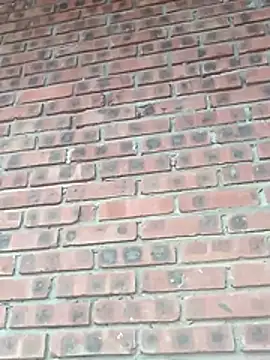 matbiec- online show from October 31, 7:45 am