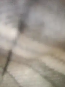 Pallu Asha online show from March 1, 4:23 am