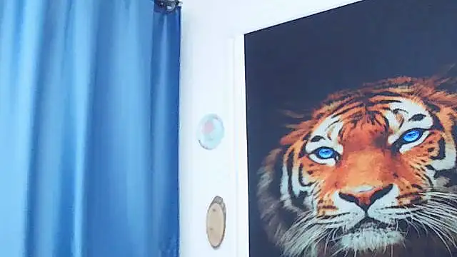 MassiveBoobsxxxx online show from March 1, 7:19 am