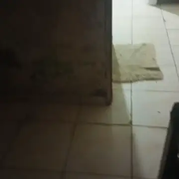  - - gozada Cv online show from November 5, 3:23 am