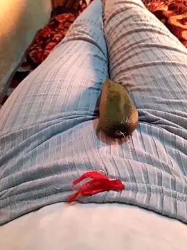 Tota sexi online show from December 4, 1:24 pm