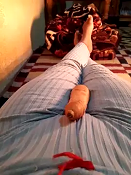 Tota sexi online show from December 5, 2:29 pm