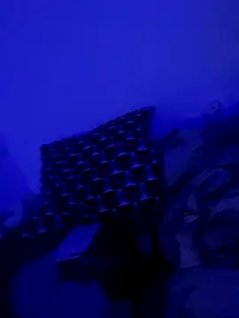 NoyaXO online show from December 2, 5:09 am