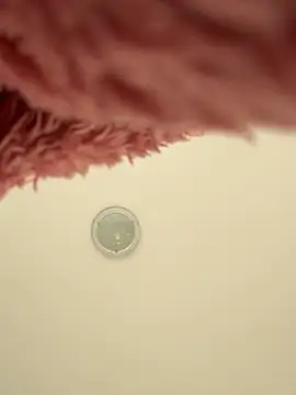 lunababy77 online show from February 24, 2:05 pm