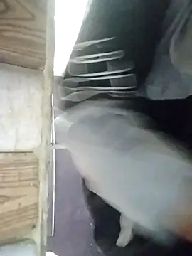 sonia 110 online show from November 17, 4:35 am