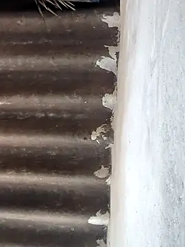 Babita Gori online show from February 6, 10:07 am