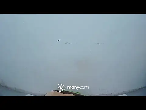 hottiemama69 online show from March 26, 10:00 pm