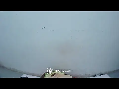 hottiemama69 online show from April 15, 2:06 pm