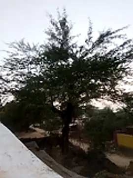 cutegirlm online show from December 1, 11:58 am