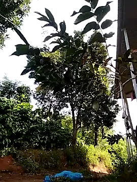 Metting88 online show from December 15, 1:22 am