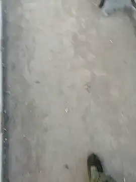 Tata and Joker online show from March 24, 3:28 pm