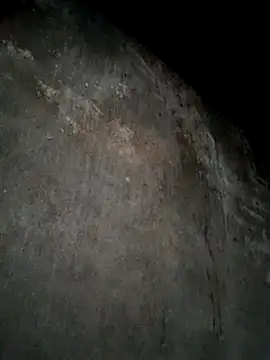 dakota-kis online show from February 19, 9:53 am