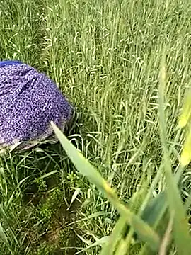 hornycouple20000 online show from February 1, 6:45 am