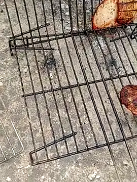 GanaderoMorboso online show from April 12, 12:19 pm