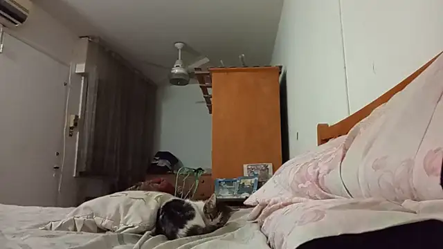 Marce1903 online show from June 8, 4:24 am