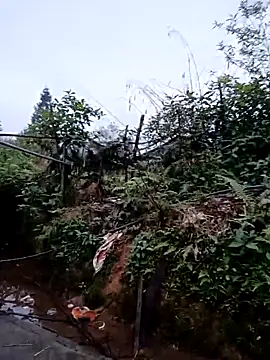 yu--yo online show from March 14, 8:15 am