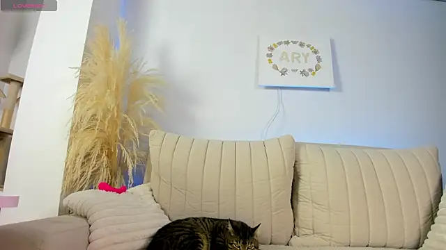  Sweet ary online show from April 24, 12:57 am