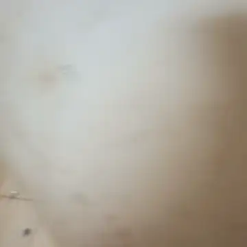       BUCETA   RASPADA    online show from January 16, 7:32 pm