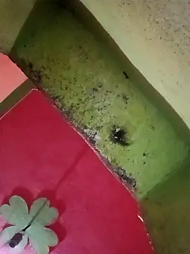 Riyakumari hot66 online show from April 5, 3:55 pm