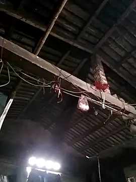 Hoa-haiduong online show from March 10, 3:43 am