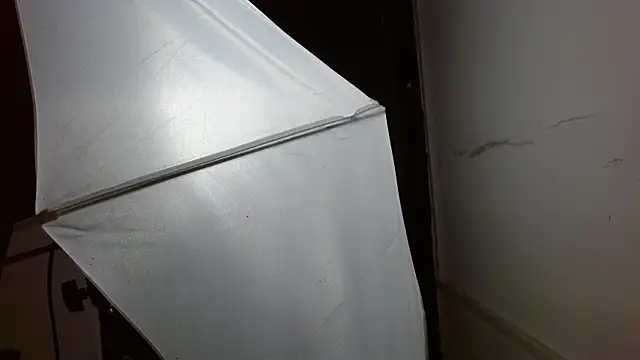 Miss Merrie online show from March 2, 10:11 am