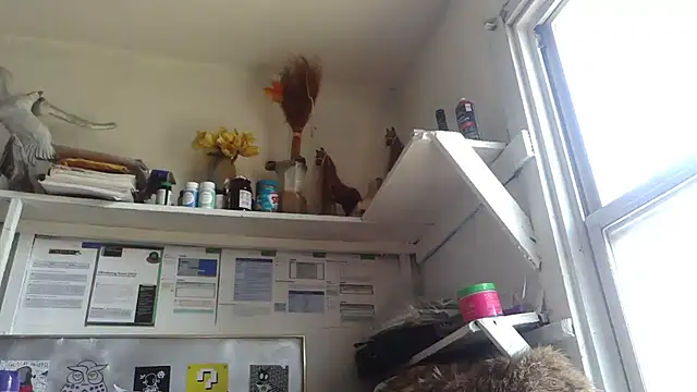 BunnyYT online show from March 17, 8:24 pm