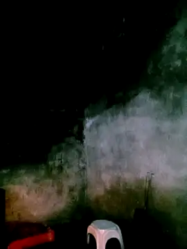 elen8800 online show from April 19, 11:10 am