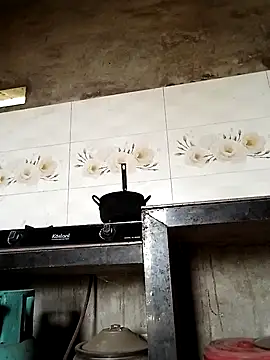 elen8800 online show from April 21, 3:35 am