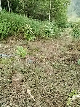 01 ANNA 01 online show from March 27, 9:32 am