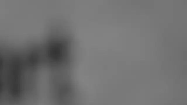 Elysia carter online show from June 4, 5:06 pm