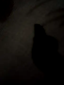 SEXY COUPLE65 online show from March 24, 9:03 am