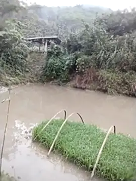 Beauty-girl- online show from March 25, 11:07 pm