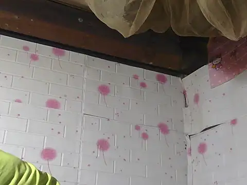 kimori66 online show from March 26, 2:25 am