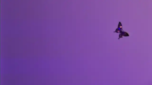 AmelieReeaa online show from April 18, 4:09 pm