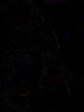 lexy night online show from April 6, 1:16 am