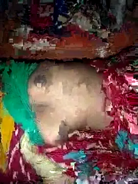 deshi girl 2007 online show from April 16, 8:36 am