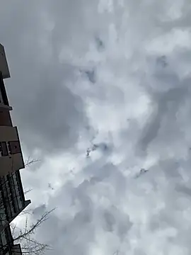 Flora Ray online show from April 16, 2:06 pm