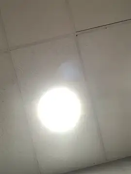 Cataleya2026 online show from April 17, 2:02 am