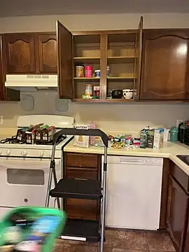 RoxyRedXO12 online show from April 14, 4:01 am