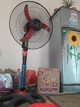 -Bianmi- online show from April 9, 6:52 am