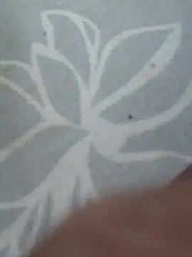 sexy payal hot online show from April 29, 10:51 am